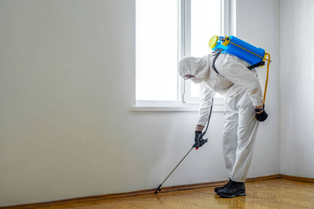 Best Best Pest Control Companies  in Hildebran, NC