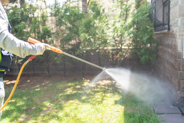 Best Mosquito Control Services  in Hildebran, NC