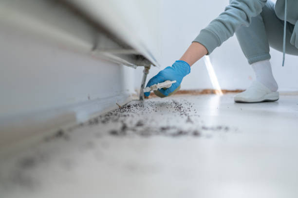 Best Pest Inspection Near Me  in Hildebran, NC